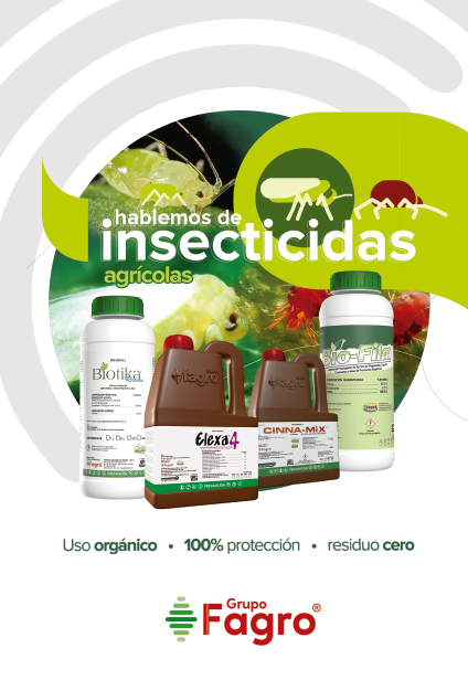 Catálogo de Productos 2025