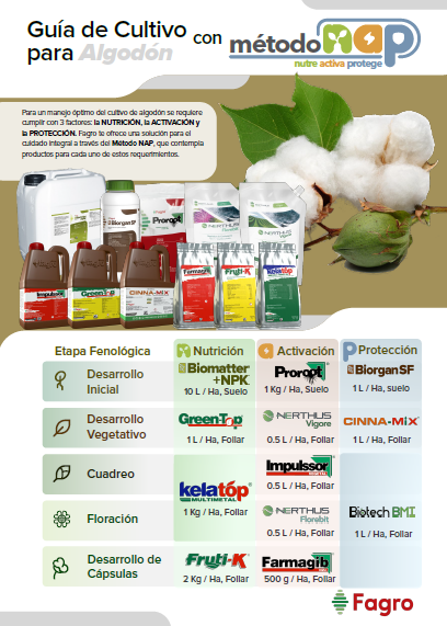 Guía de cultivo para algodón con el método NAP