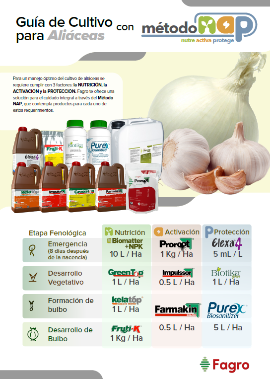 Guía de cultivo para aliáceas con el método NAP