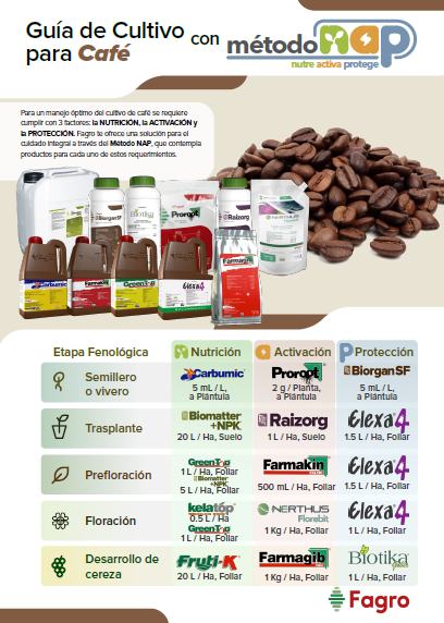 Guía de cultivo para café con el método NAP