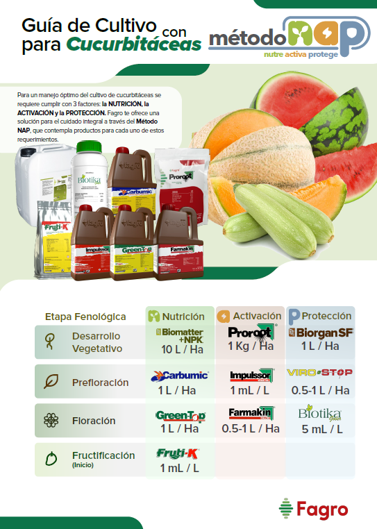 Guía de cultivo para cucurbitacea con el método NAP