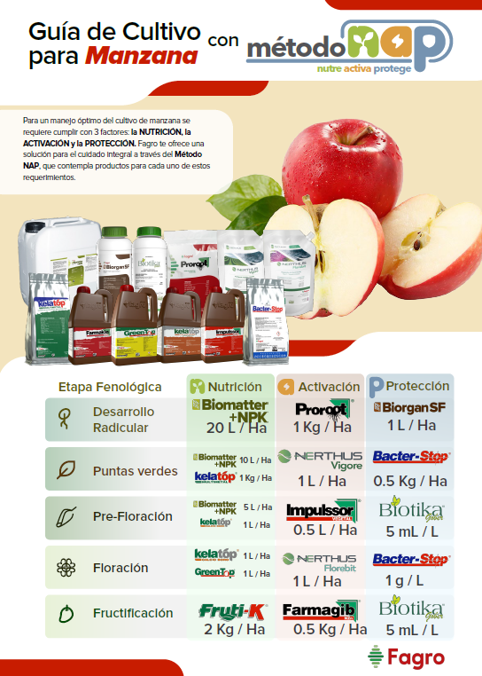 Guía de cultivo para manzana con el método NAP