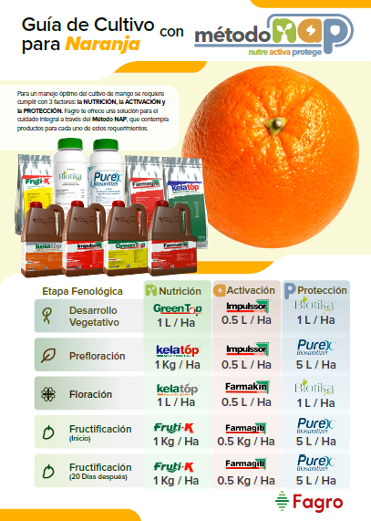 Guía de cultivo para naranja con el método NAP