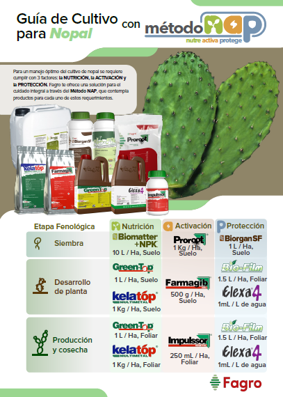 Guía de cultivo para nopal con el método NAP