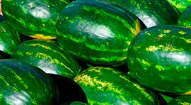 Acidex-F para cultivo de Cucurbitáceas