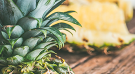 Biorgan SF para cultivo de Piña