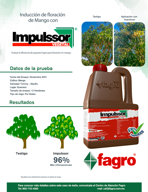 Inducción de floración de mango con Impulssor Vegetal