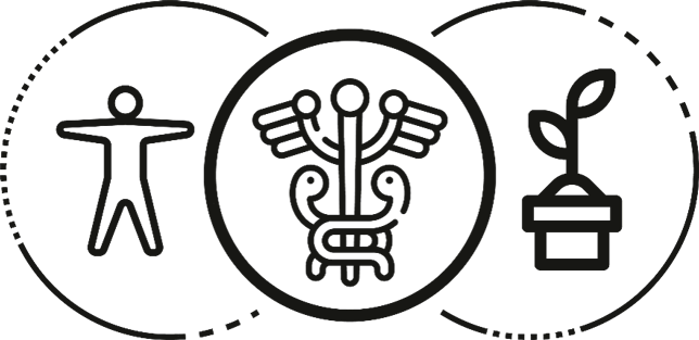 Trayectoria y evolución de Fagro