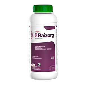 Raizorg Inoculante. Líquido para Tomate o jitomate en etapa de Fitoplanta