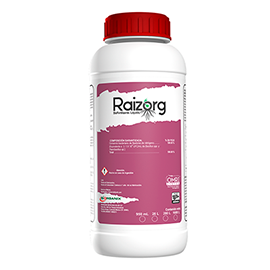 Raizorg Fertilizer/soil conditioner.